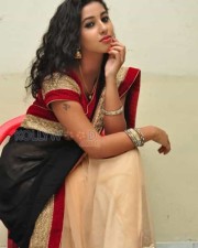 Actress Pavani Saree Pictures 16