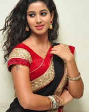 Actress Pavani Saree Pictures 17