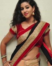 Actress Pavani Saree Pictures 20