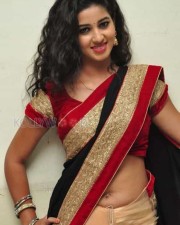 Actress Pavani Saree Pictures 22