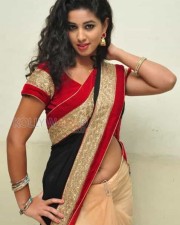 Actress Pavani Saree Pictures 29