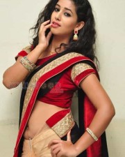 Actress Pavani Saree Pictures 32