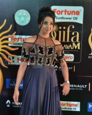 Actress Sanjana At Iifa Utsavam 2017 Pictures 13