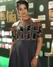 Actress Sanjana At Iifa Utsavam 2017 Pictures 17