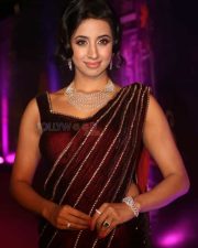 Actress Sanjana At Zee Apsara Awards 2018 Photos 06