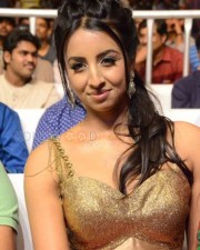 Actress Sanjana New Pictures 05 Actress Sanjana New Pictures 05