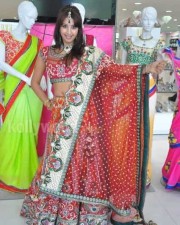 Actress Sanjana Traditional Photos 04