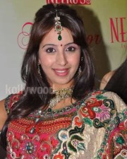 Actress Sanjana Traditional Photos 29