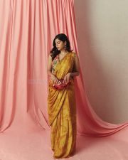 Beautiful Kalyani Priyadarshan in a Yellow Mustard Saree with a Sleeveless Blouse Pictures 04
