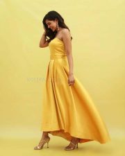 Bro Daddy Actress Kalyani Priyadarshan Beautiful Photoshoot Pictures 04