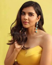 Bro Daddy Actress Kalyani Priyadarshan Beautiful Photoshoot Pictures 05