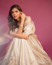 Elegant Actress Kalyani Priyadarshan in a champagne embellished saree with ornate gold earrings photos 03