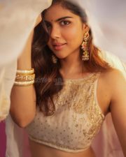 Elegant Actress Kalyani Priyadarshan in a champagne embellished saree with ornate gold earrings photos 05
