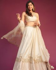 Elegant Actress Kalyani Priyadarshan in a champagne embellished saree with ornate gold earrings photos 07