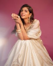 Elegant Actress Kalyani Priyadarshan in a champagne embellished saree with ornate gold earrings photos 08