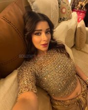 Glamorous Actress Nyra Banerjee in a gold embellished sheer crop top with gold pleated skirt photos 03 Glamorous Actress Nyra Banerjee in a gold embellished sheer crop top with gold pleated skirt photos 03