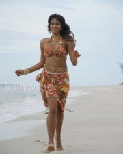 Hot Sanjana Pics 07 Hot Sanjana Pics 07