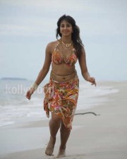 Kannada Actress Sanjana Sexy Photos 04