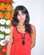 Kannada Actress Sanjana Sexy Pics 13