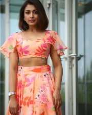 Madhu Shalini at 9 Hours Web Series Pre Release Event Pictures 06