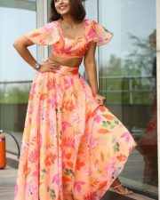 Madhu Shalini at 9 Hours Web Series Pre Release Event Pictures 08