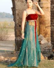 Mamta Mohandas Sexy Pictures 14