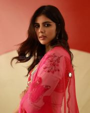 Odum Kuthira Chaadum Kuthira Heroine Kalyani Priyadarshan in a Pink Saree Photos 01