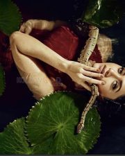 Oomai Vizhigal Actress Mamta Mohandas Saree Photoshoot Pictures 02