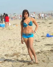 Sexy Kannada Actress Sanjana Hot Pictures 17 Sexy Kannada Actress Sanjana Hot Pictures 17