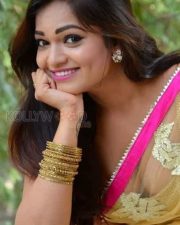 Telugu Actress Ashwini Spicy Cleavage Saree Photos 07 Telugu Actress Ashwini Spicy Cleavage Saree Photos 07