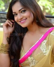 Telugu Actress Ashwini Spicy Cleavage Saree Photos 08 Telugu Actress Ashwini Spicy Cleavage Saree Photos 08