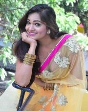 Telugu Actress Ashwini Spicy Cleavage Saree Photos 10 Telugu Actress Ashwini Spicy Cleavage Saree Photos 10