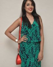 Telugu Beauty Madhu Shalini Pictures 07