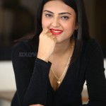Actress Bhawna Choudhary at Software Blues Movie Press Meet Pictures 03 Actress Bhawna Choudhary at Software Blues Movie Press Meet Pictures 03