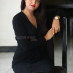 Actress Bhawna Choudhary at Software Blues Movie Press Meet Pictures 40 Actress Bhawna Choudhary at Software Blues Movie Press Meet Pictures 40