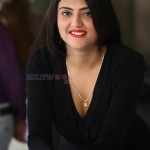 Actress Bhawna Choudhary at Software Blues Movie Press Meet Pictures 43 Actress Bhawna Choudhary at Software Blues Movie Press Meet Pictures 43