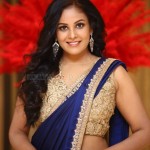 Actress Chandini Nanda at Ram Asur Movie Pre Release Event Pictures 10 Actress Chandini Nanda at Ram Asur Movie Pre Release Event Pictures 10