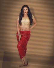 Actress Chandini Tamilarasan Latest Photoshoot Photos 05