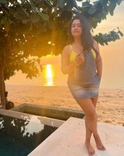 Chubby Beauty Poonam Bajwa in a Yellow Bra and Blue Dungaree Playsuit Photos 02