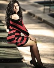 Hot And Sexy Poonam Bajwa Pics 05
