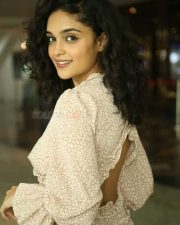 Kashish Khan at Anubhavinchu Raja Movie Press Meet Photos 11
