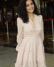 Kashish Khan at Anubhavinchu Raja Movie Press Meet Photos 31