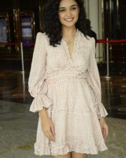 Kashish Khan at Anubhavinchu Raja Movie Press Meet Photos 35