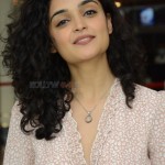 Kashish Khan at Anubhavinchu Raja Movie Press Meet Photos 39 Kashish Khan at Anubhavinchu Raja Movie Press Meet Photos 39