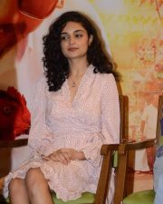 Kashish Khan at Anubhavinchu Raja Movie Press Meet Photos 42 Kashish Khan at Anubhavinchu Raja Movie Press Meet Photos 42