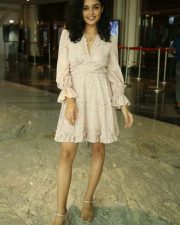 Kashish Khan at Anubhavinchu Raja Movie Press Meet Photos 48