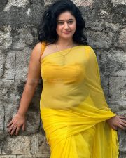 Luminous Actress Poonam Bajwa in a Yellow Chiffon Saree Photos 02