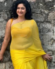 Luminous Actress Poonam Bajwa in a Yellow Chiffon Saree Photos 04