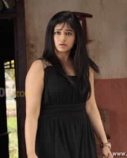 Manthrikan Heroine Poonam Bajwa Cute Stills 21