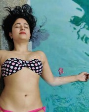 Poonam Bajwa in Hot Bikini Photos 02